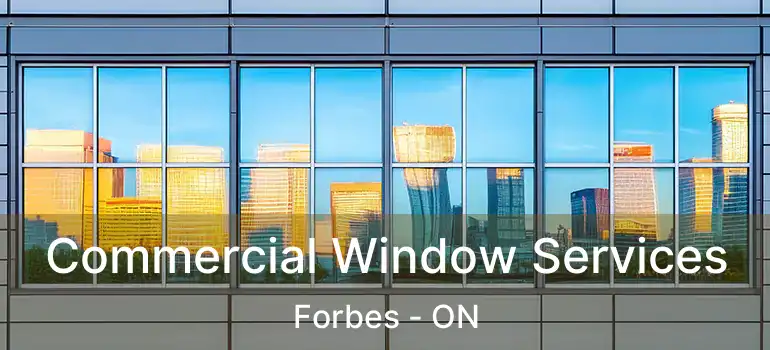  Commercial Window Services Forbes - ON