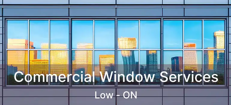  Commercial Window Services Low - ON