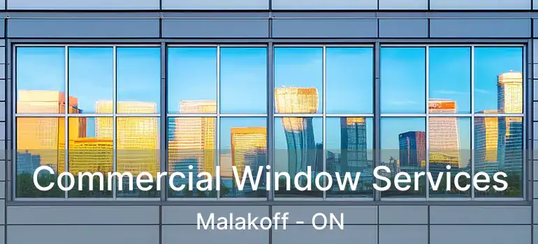  Commercial Window Services Malakoff - ON