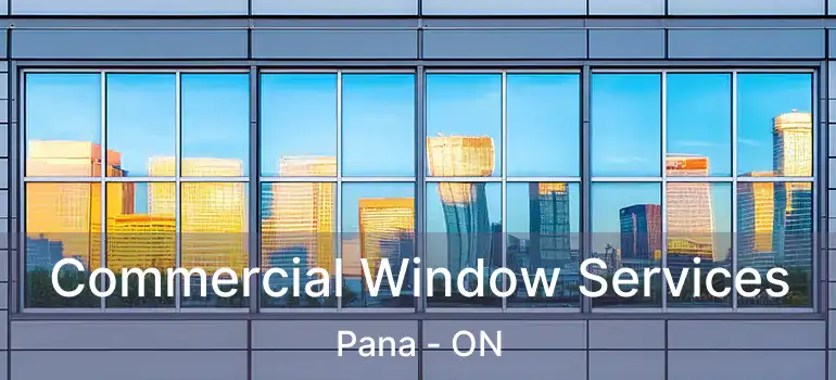  Commercial Window Services Pana - ON