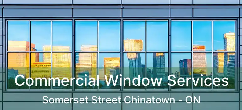  Commercial Window Services Somerset Street Chinatown - ON