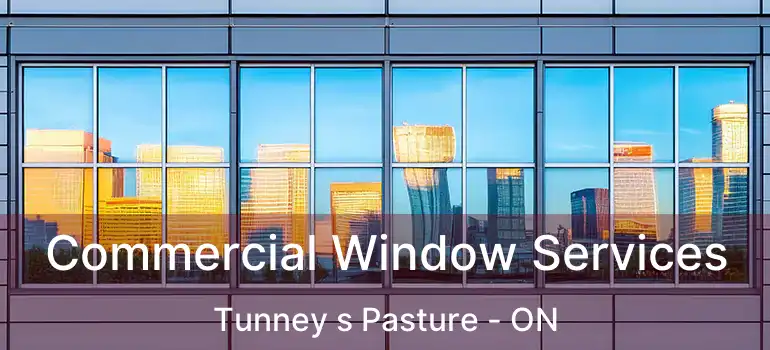  Commercial Window Services Tunney s Pasture - ON