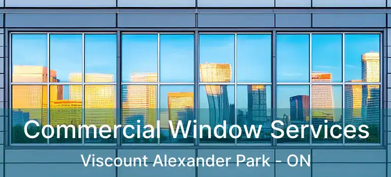  Commercial Window Services Viscount Alexander Park - ON