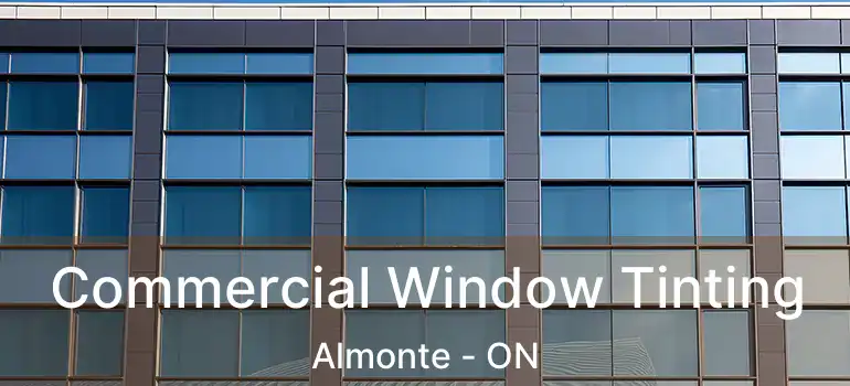  Commercial Window Tinting Almonte - ON