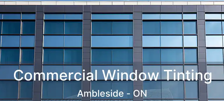  Commercial Window Tinting Ambleside - ON