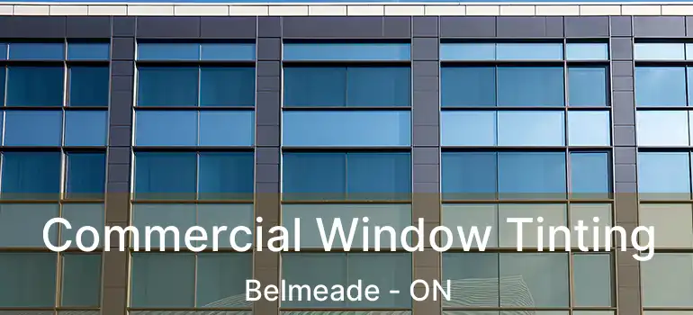  Commercial Window Tinting Belmeade - ON