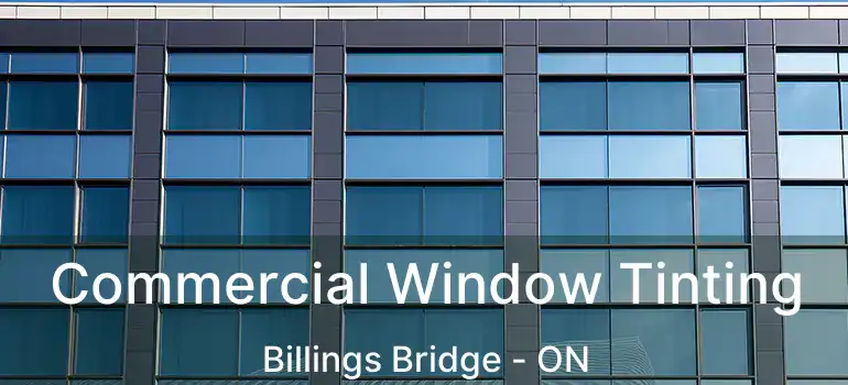  Commercial Window Tinting Billings Bridge - ON