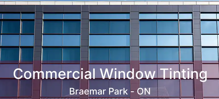  Commercial Window Tinting Braemar Park - ON