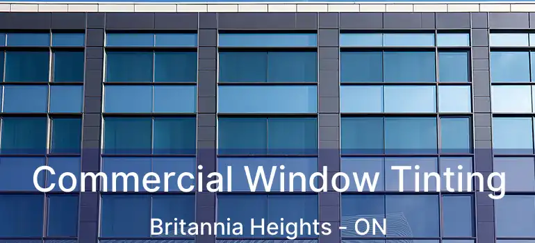  Commercial Window Tinting Britannia Heights - ON