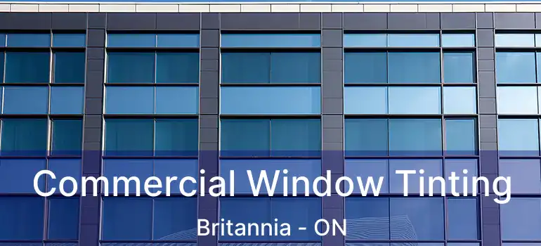  Commercial Window Tinting Britannia - ON