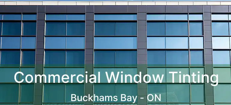  Commercial Window Tinting Buckhams Bay - ON