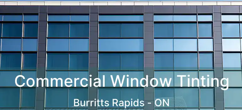  Commercial Window Tinting Burritts Rapids - ON