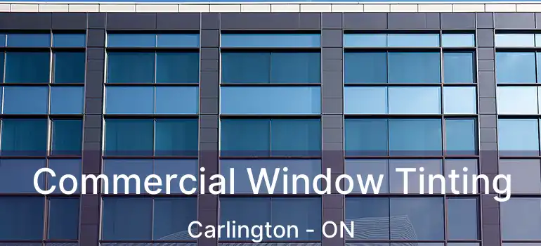  Commercial Window Tinting Carlington - ON