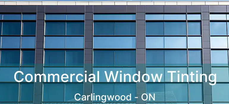  Commercial Window Tinting Carlingwood - ON