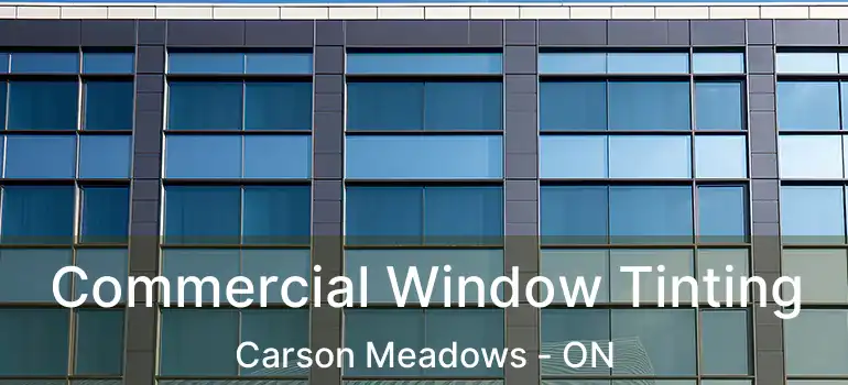  Commercial Window Tinting Carson Meadows - ON