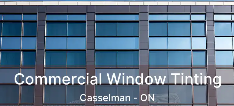  Commercial Window Tinting Casselman - ON