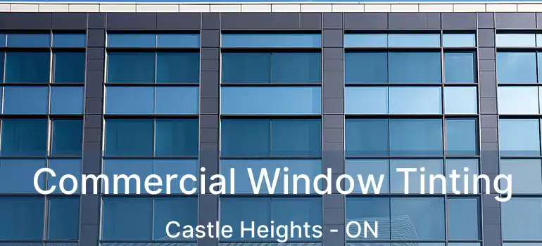  Commercial Window Tinting Castle Heights - ON