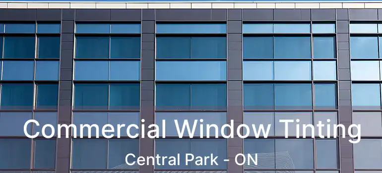  Commercial Window Tinting Central Park - ON