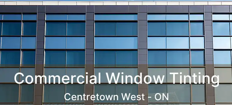  Commercial Window Tinting Centretown West - ON