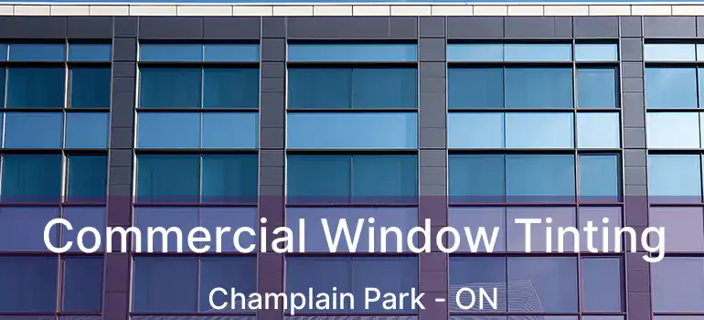  Commercial Window Tinting Champlain Park - ON