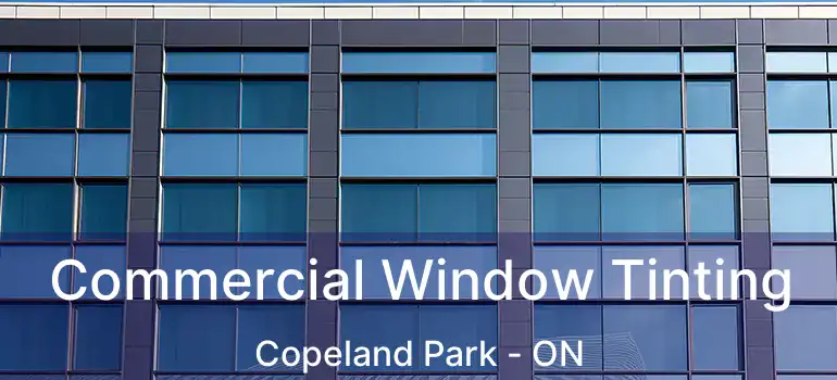  Commercial Window Tinting Copeland Park - ON