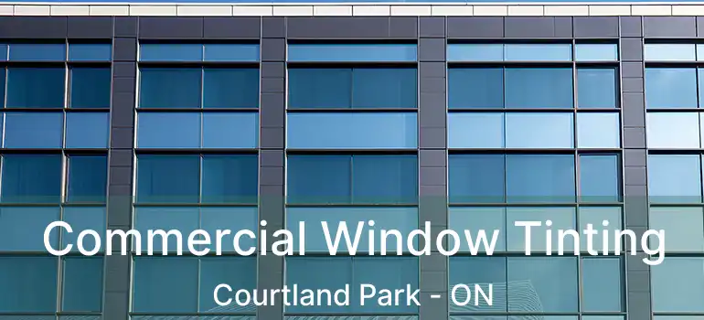  Commercial Window Tinting Courtland Park - ON