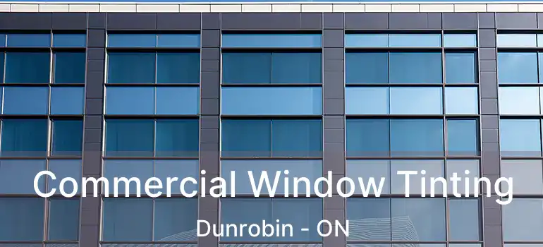  Commercial Window Tinting Dunrobin - ON