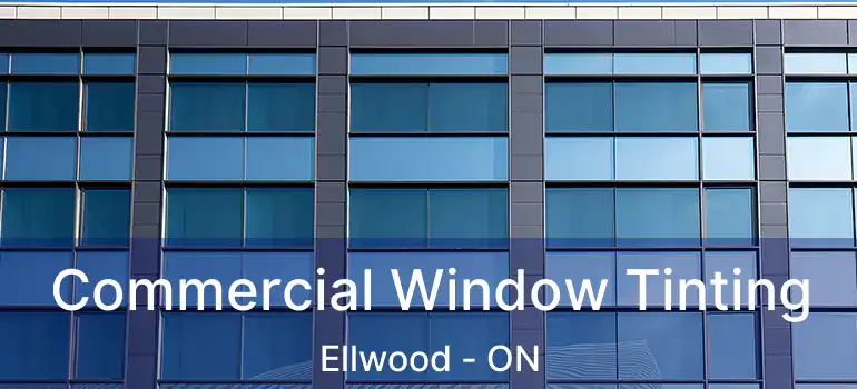  Commercial Window Tinting Ellwood - ON