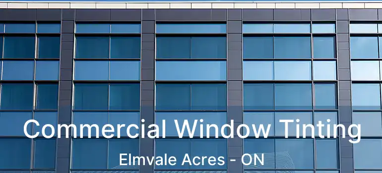  Commercial Window Tinting Elmvale Acres - ON