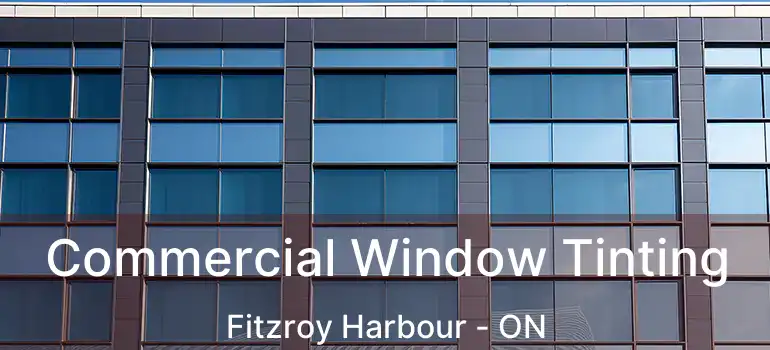  Commercial Window Tinting Fitzroy Harbour - ON