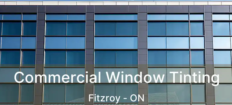  Commercial Window Tinting Fitzroy - ON