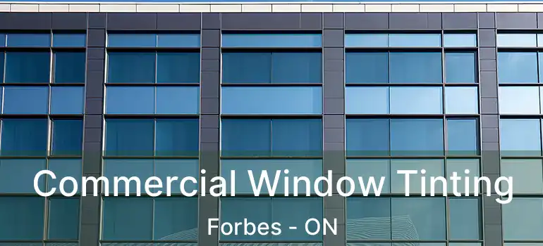  Commercial Window Tinting Forbes - ON