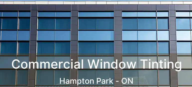  Commercial Window Tinting Hampton Park - ON