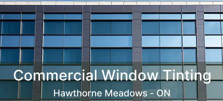  Commercial Window Tinting Hawthorne Meadows - ON