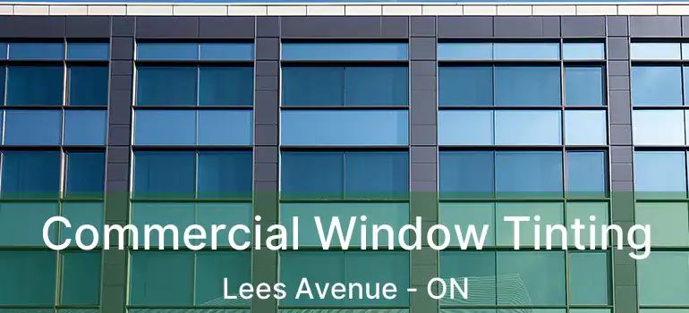  Commercial Window Tinting Lees Avenue - ON