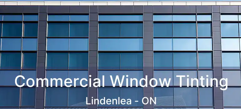  Commercial Window Tinting Lindenlea - ON