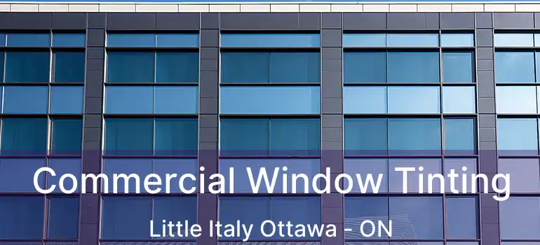  Commercial Window Tinting Little Italy Ottawa - ON