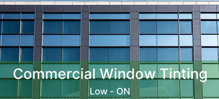  Commercial Window Tinting Low - ON