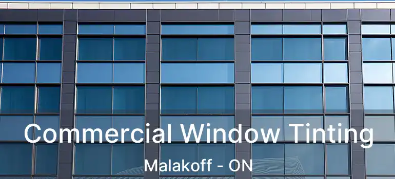  Commercial Window Tinting Malakoff - ON