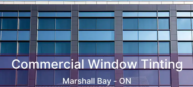  Commercial Window Tinting Marshall Bay - ON