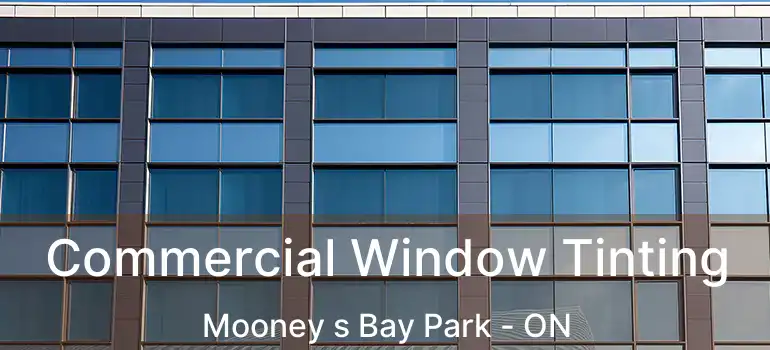  Commercial Window Tinting Mooney s Bay Park - ON