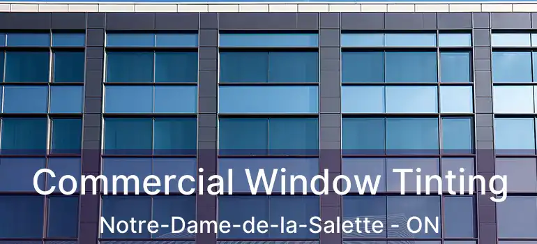  Commercial Window Tinting Notre-Dame-de-la-Salette - ON