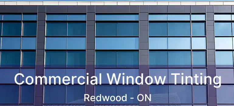  Commercial Window Tinting Redwood - ON