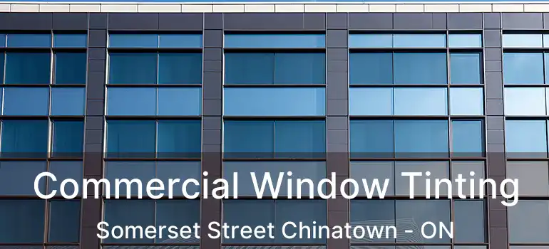  Commercial Window Tinting Somerset Street Chinatown - ON