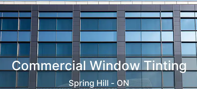  Commercial Window Tinting Spring Hill - ON