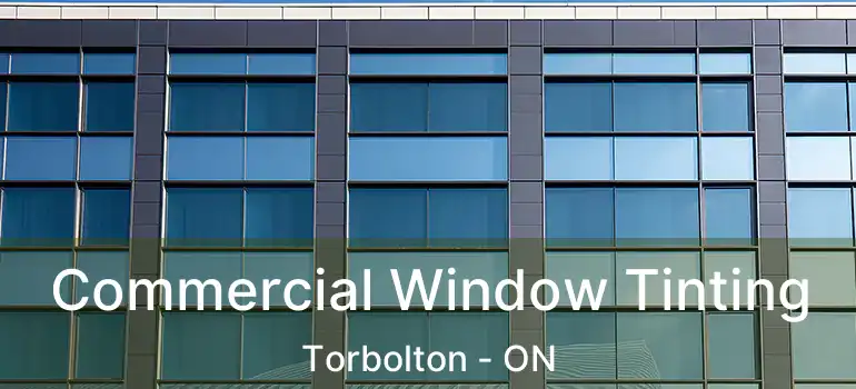  Commercial Window Tinting Torbolton - ON