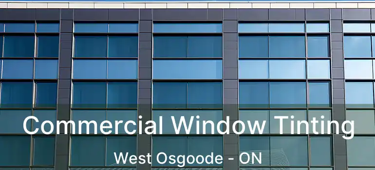  Commercial Window Tinting West Osgoode - ON