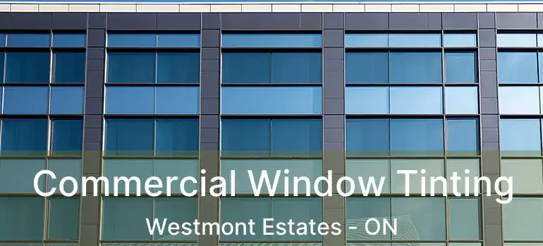  Commercial Window Tinting Westmont Estates - ON