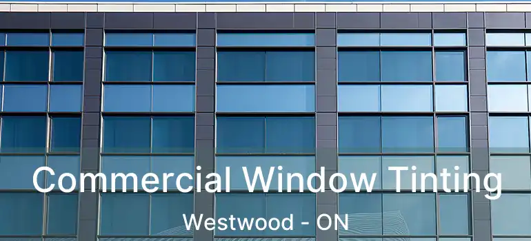  Commercial Window Tinting Westwood - ON