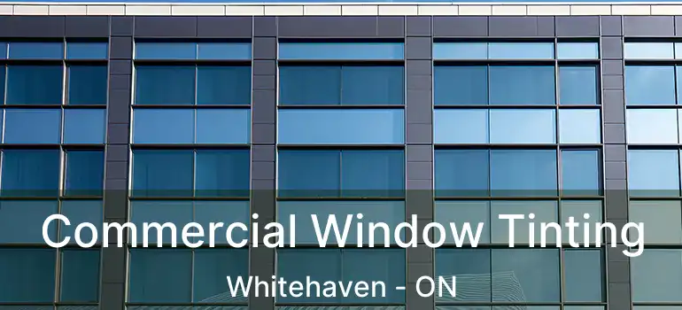  Commercial Window Tinting Whitehaven - ON